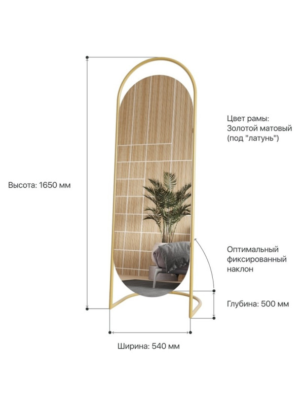 Дизайнерское напольное зеркало Glass Memory Queen в металлической раме золотого цвета Дизайнерское напольное зеркало Glass Memory Queen в металлической раме золотого цвета